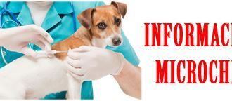 Implantación de Microchip para perros y gatos Implantación de Microchip para perros y gatos