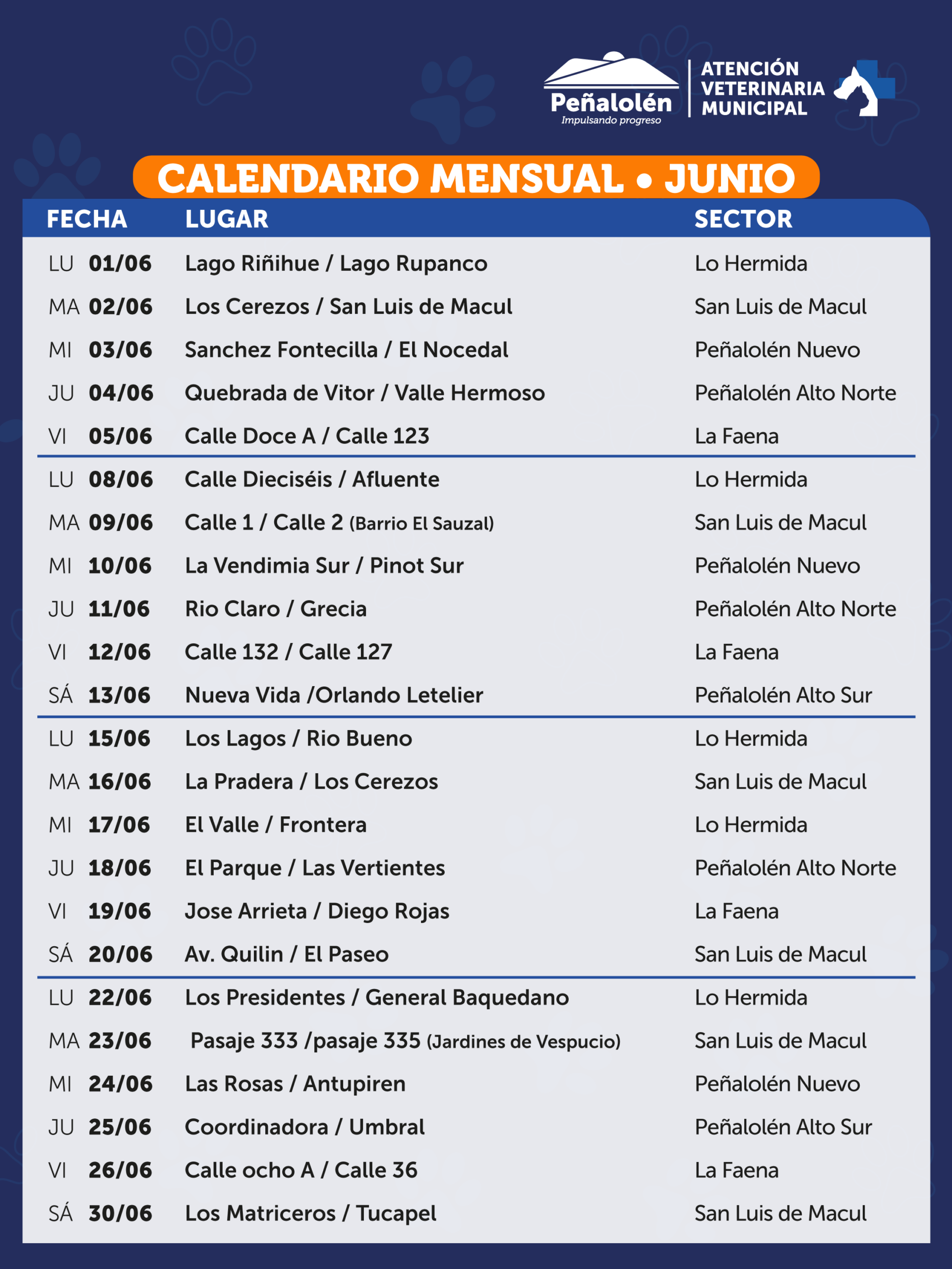 JUNIO_VETB-02